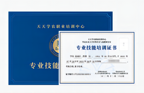 pa视讯专业技能培训证书