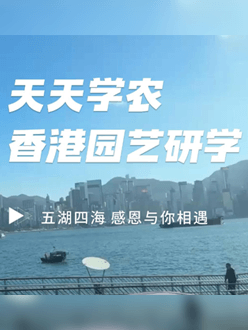 与香港园艺学会联合举办香港园艺研学，专业园境师带队讲解。