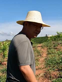 农业人叶涛，50多岁通讯人跨界搞农业，他要用1000万打造一个梦。