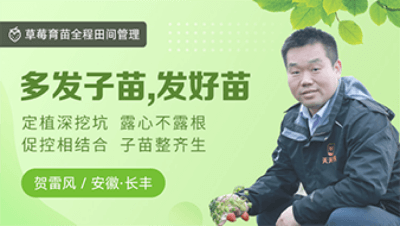 多发子苗，发好苗